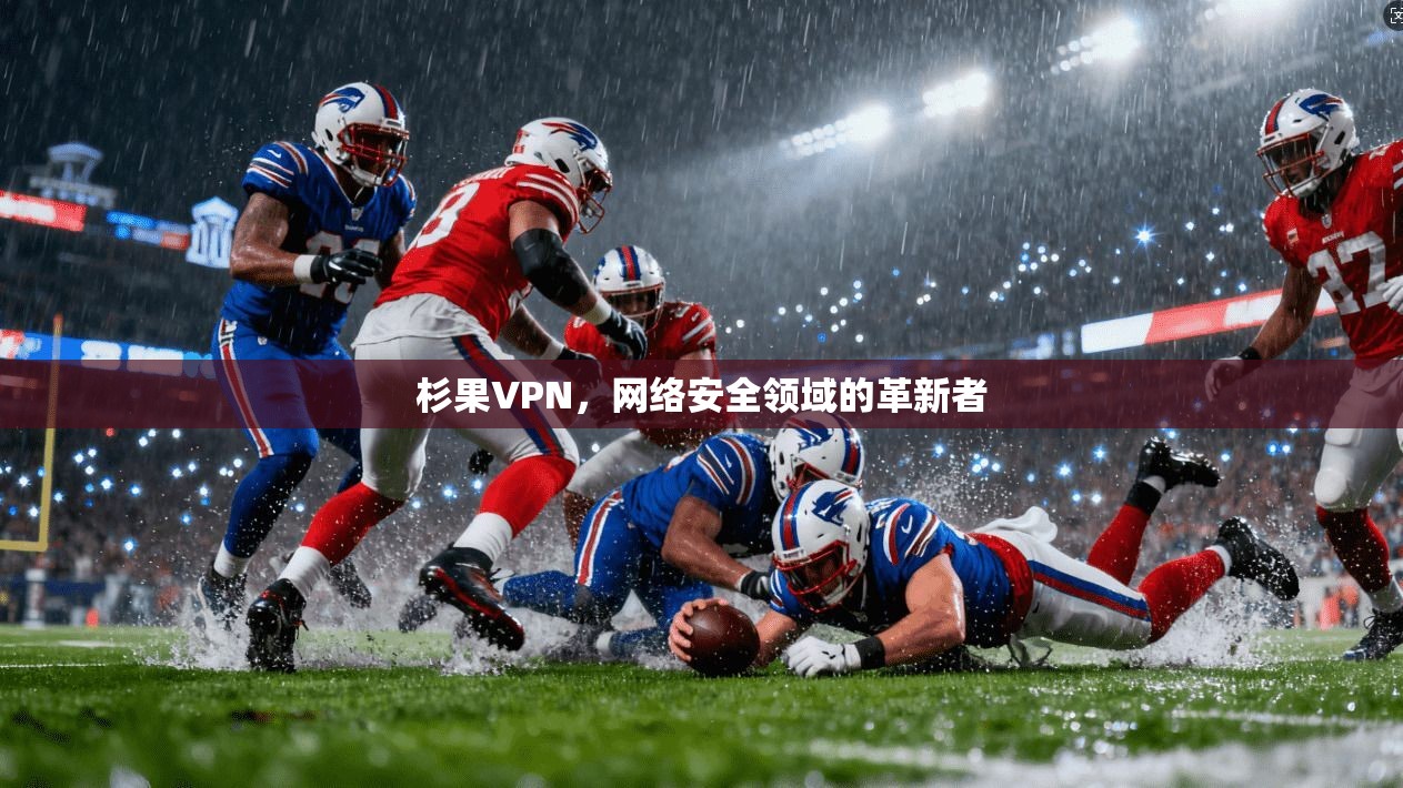 杉果VPN，网络安全领域的革新者