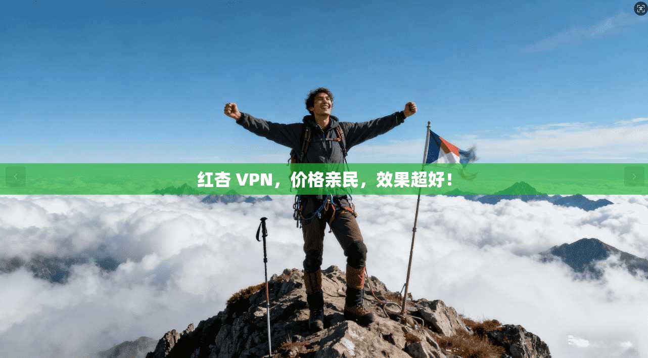 红杏 VPN，价格亲民，效果超好！