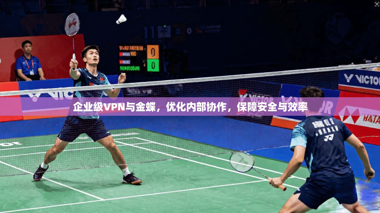 企业级VPN与金蝶,优化内部协作,保障安全与效率