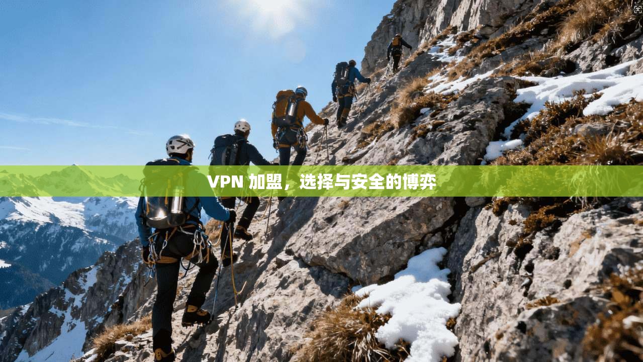 VPN 加盟,选择与安全的博弈