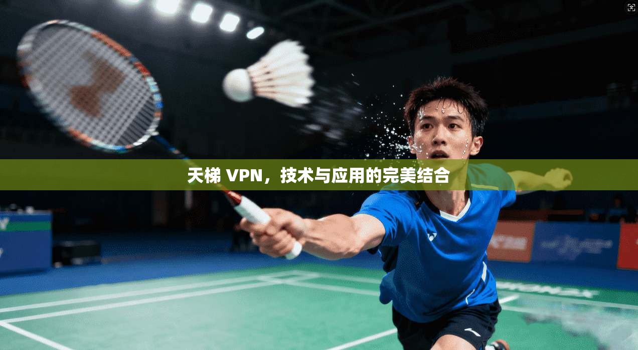 天梯 VPN,技术与应用的完美结合