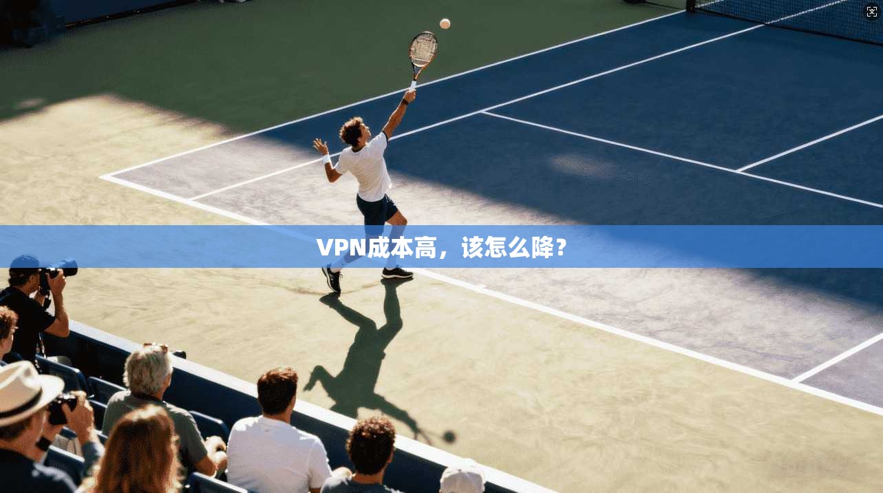 VPN成本高,该怎么降?
