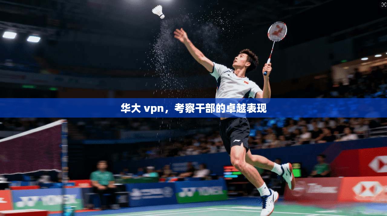 华大 vpn，考察干部的卓越表现