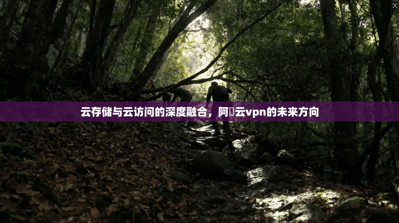云存储与云访问的深度融合,阿裏云vpn的未来方向
