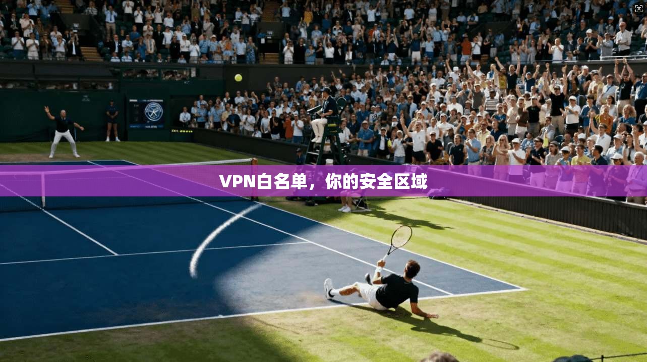 VPN白名单，你的安全区域