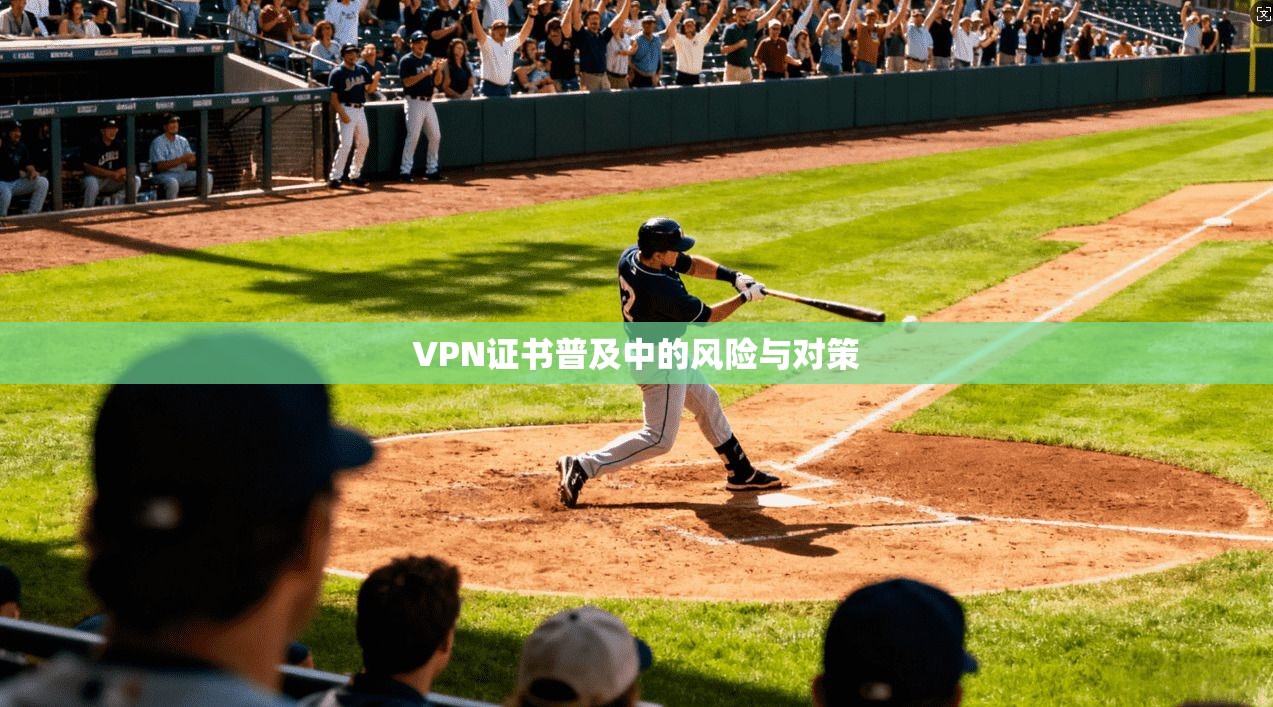 VPN证书普及中的风险与对策