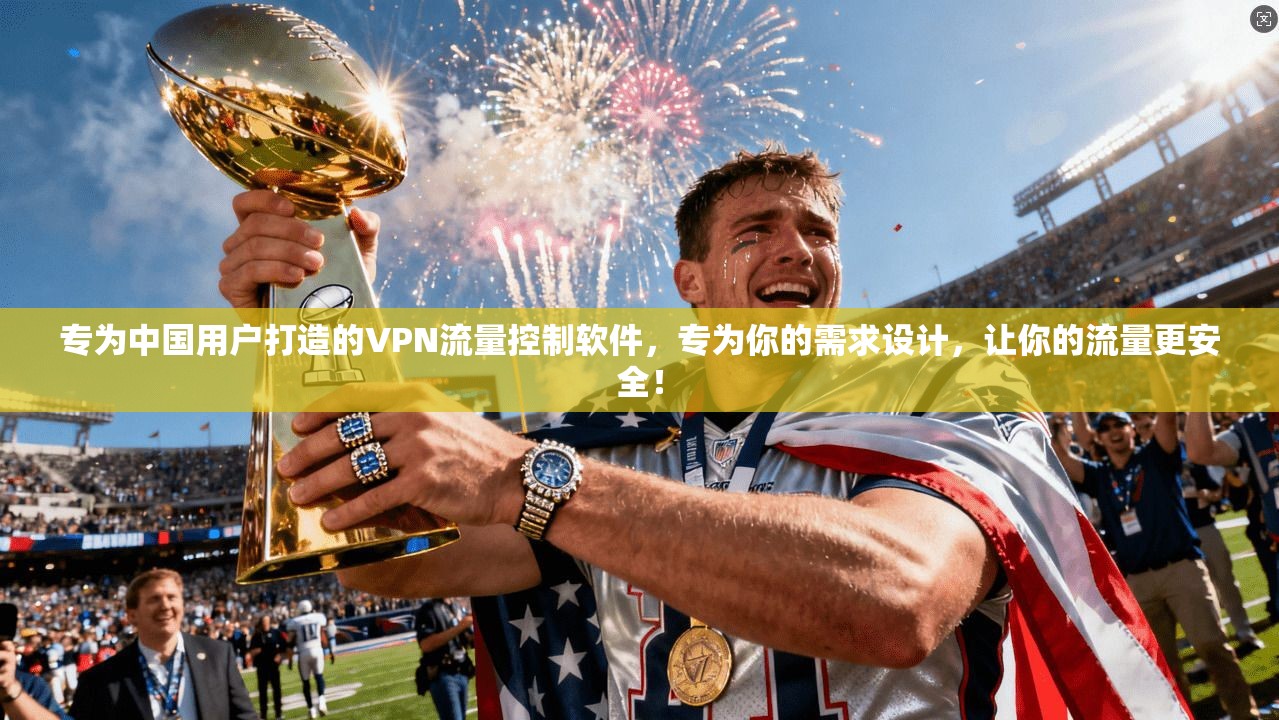 专为中国用户打造的VPN流量控制软件，专为你的需求设计，让你的流量更安全！