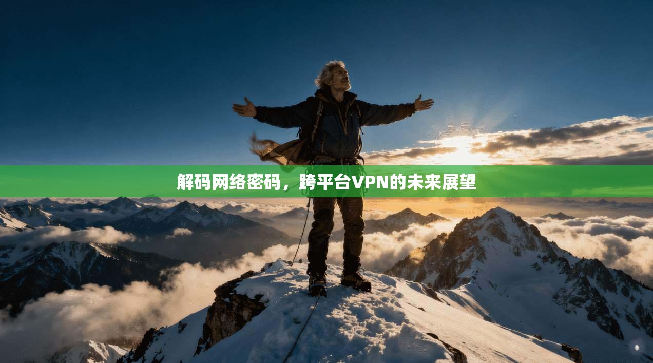 解码网络密码，跨平台VPN的未来展望