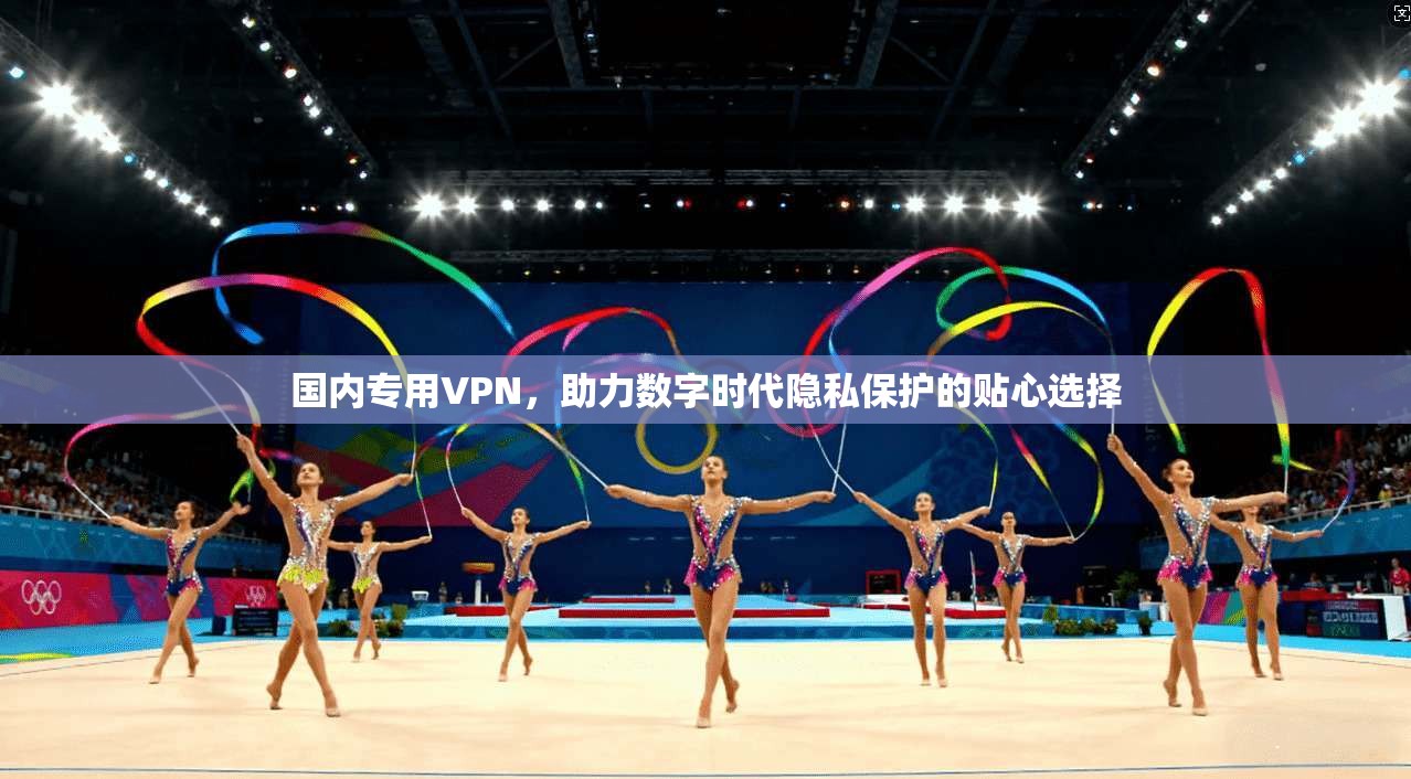 国内专用VPN，助力数字时代隐私保护的贴心选择