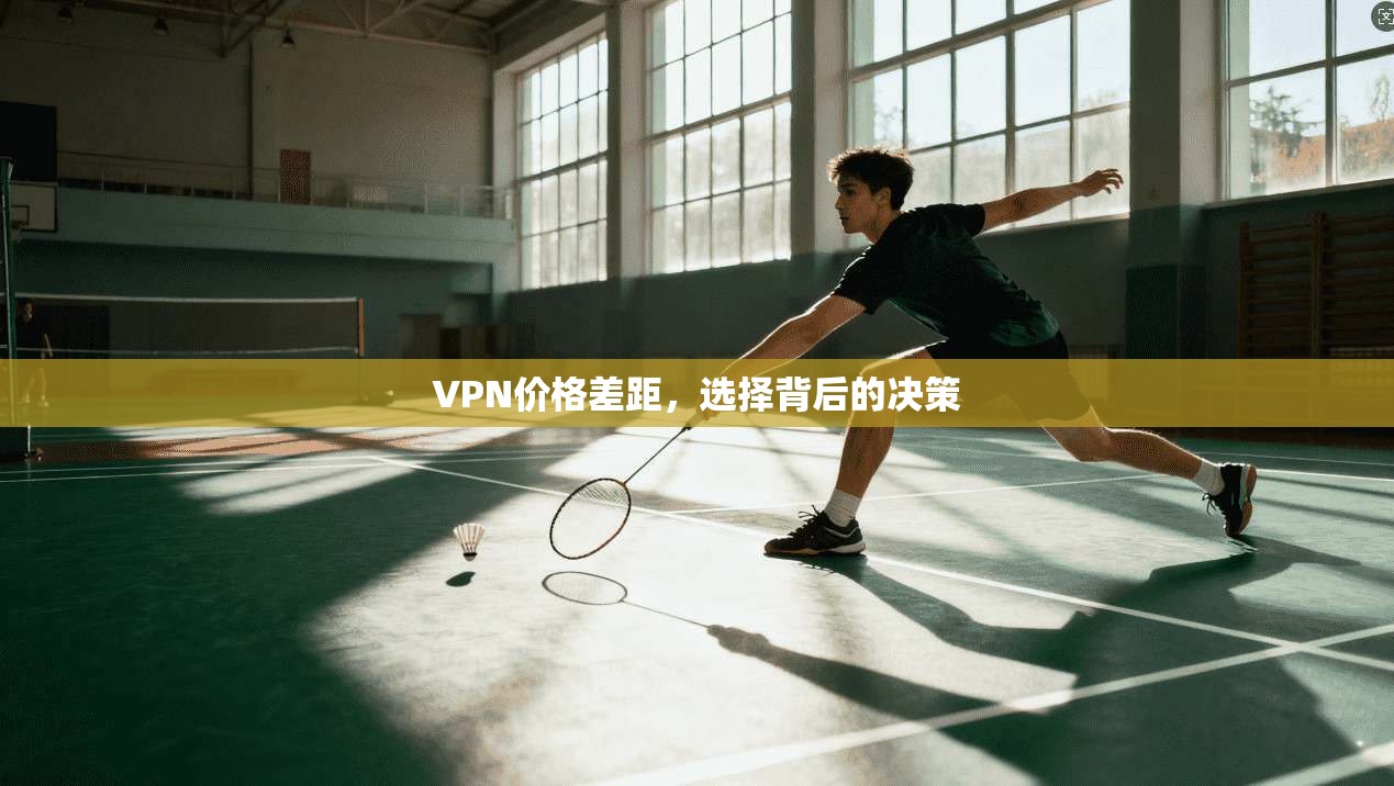 VPN价格差距,选择背后的决策
