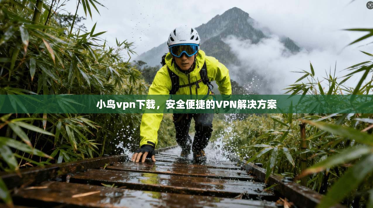 小鸟vpn下载，安全便捷的VPN解决方案