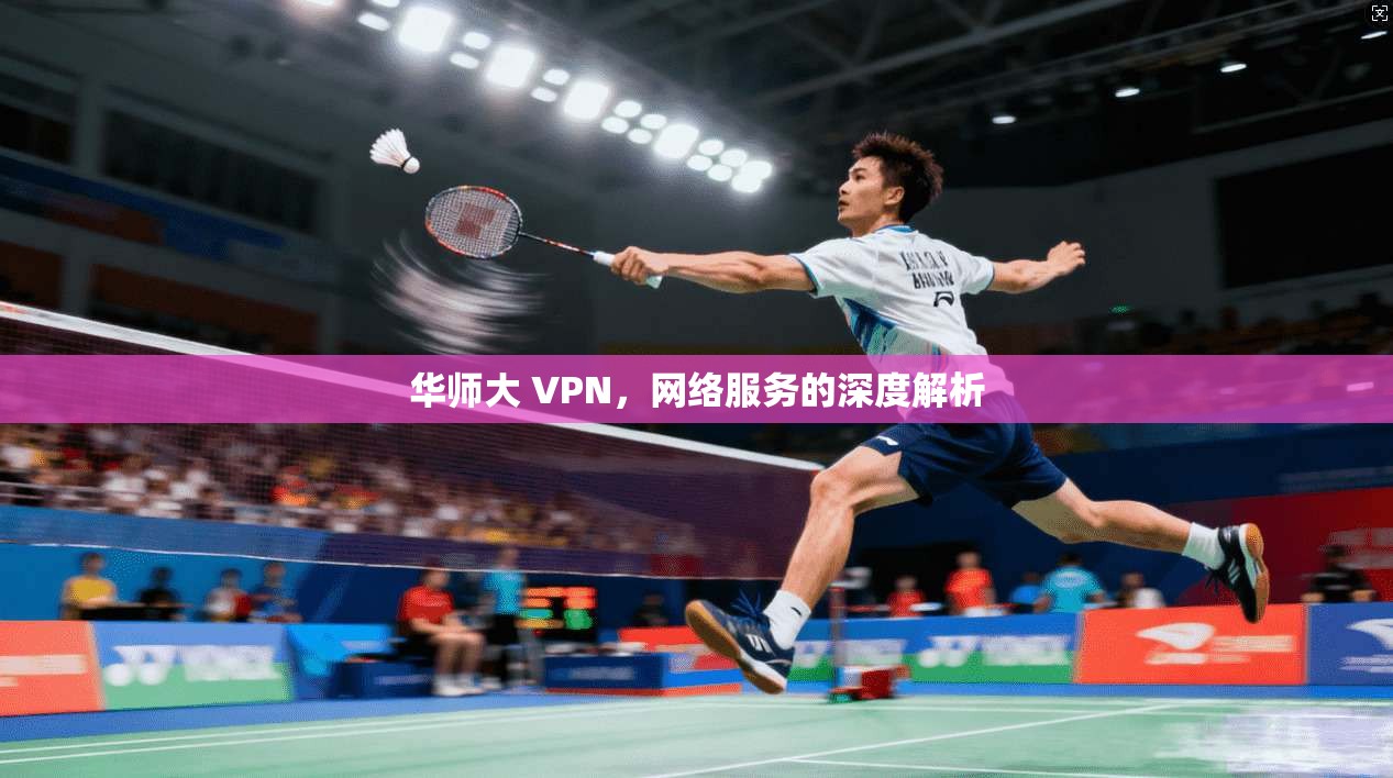 华师大 VPN,网络服务的深度解析