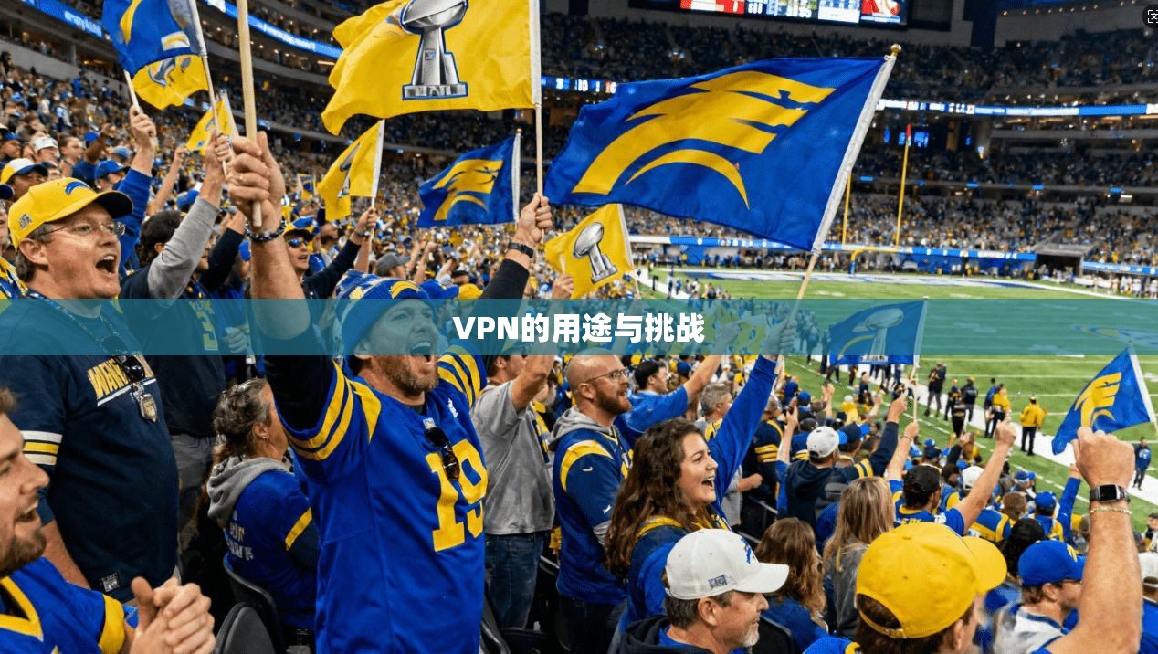 VPN的用途与挑战