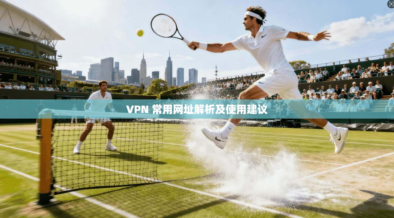 VPN 常用网址解析及使用建议