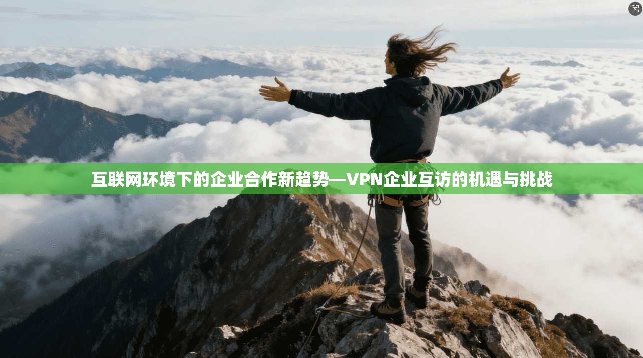 互联网环境下的企业合作新趋势—VPN企业互访的机遇与挑战