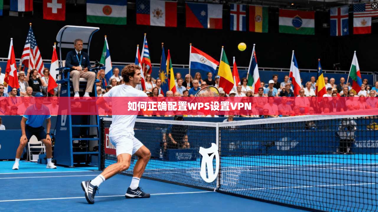 如何正确配置WPS设置VPN