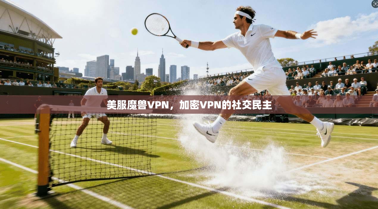 美服魔兽VPN，加密VPN的社交民主