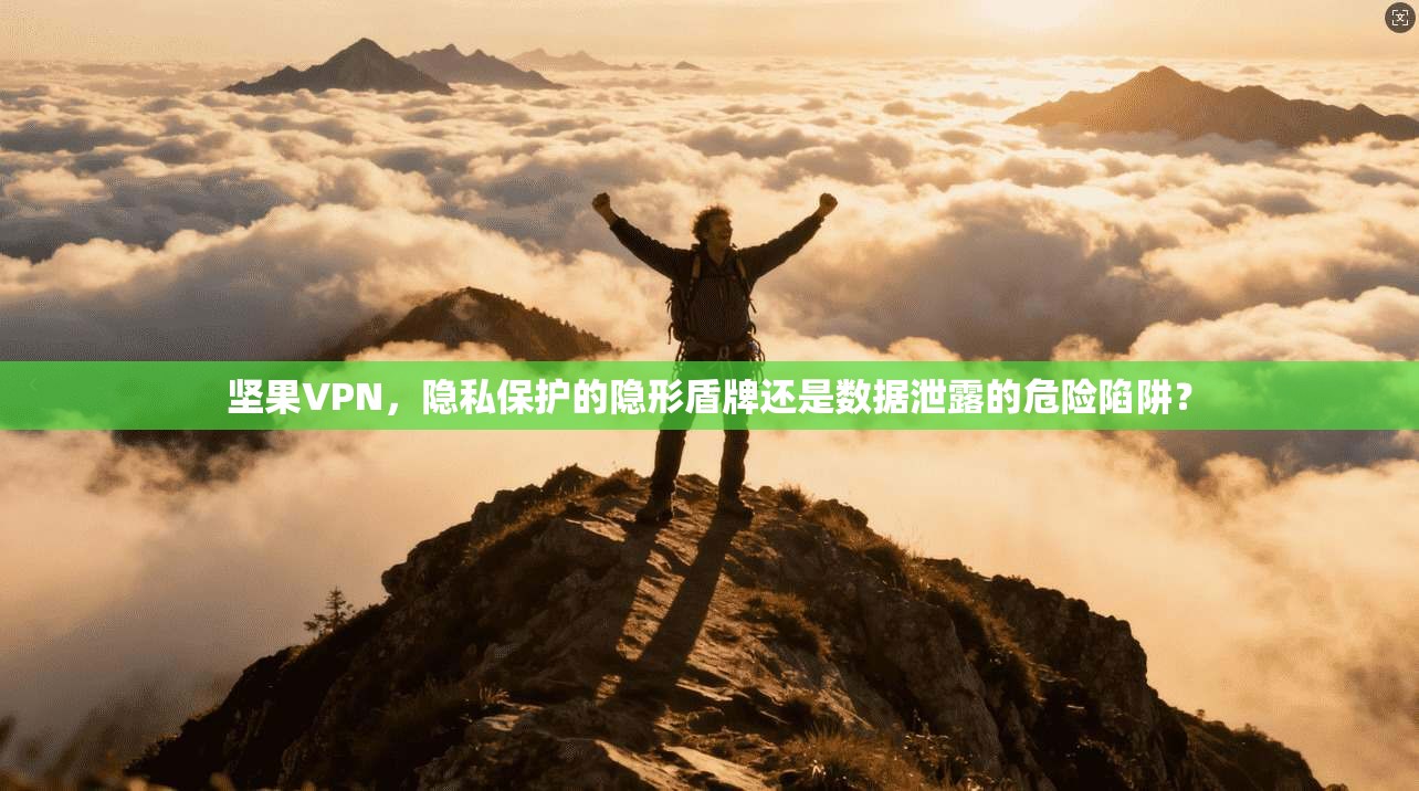 坚果VPN，隐私保护的隐形盾牌还是数据泄露的危险陷阱？