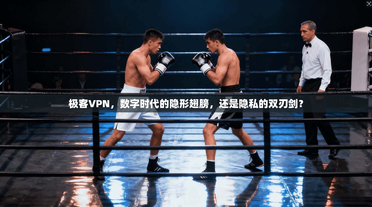 极客VPN，数字时代的隐形翅膀，还是隐私的双刃剑？