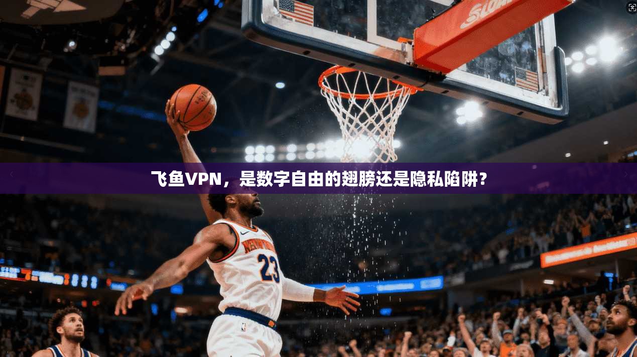 飞鱼VPN，是数字自由的翅膀还是隐私陷阱？