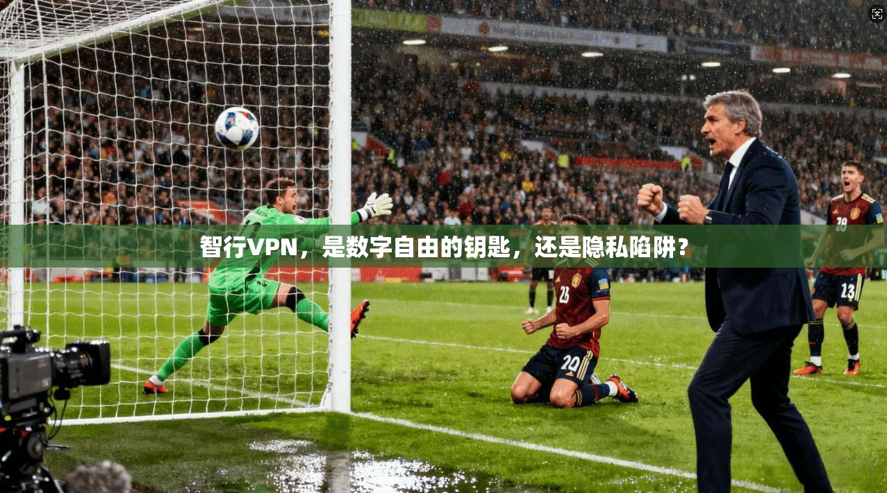智行VPN，是数字自由的钥匙，还是隐私陷阱？