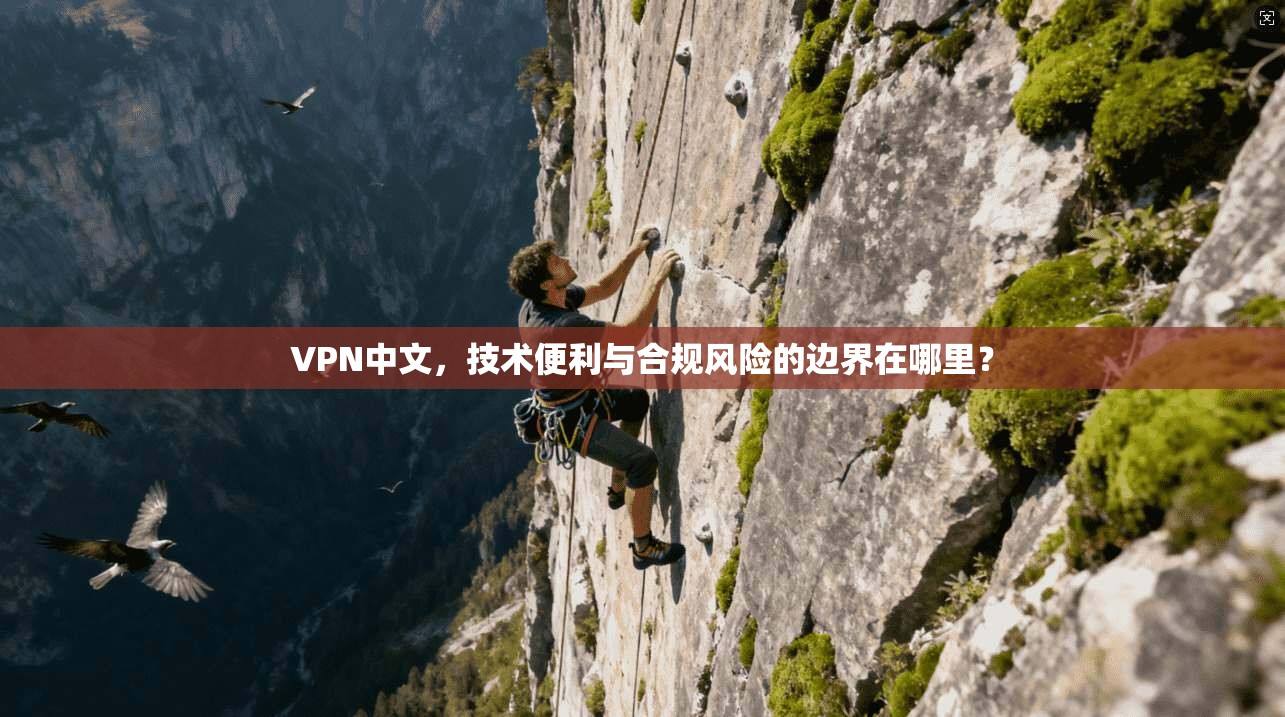 VPN中文，技术便利与合规风险的边界在哪里？