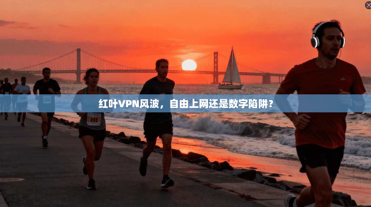 红叶VPN风波，自由上网还是数字陷阱？