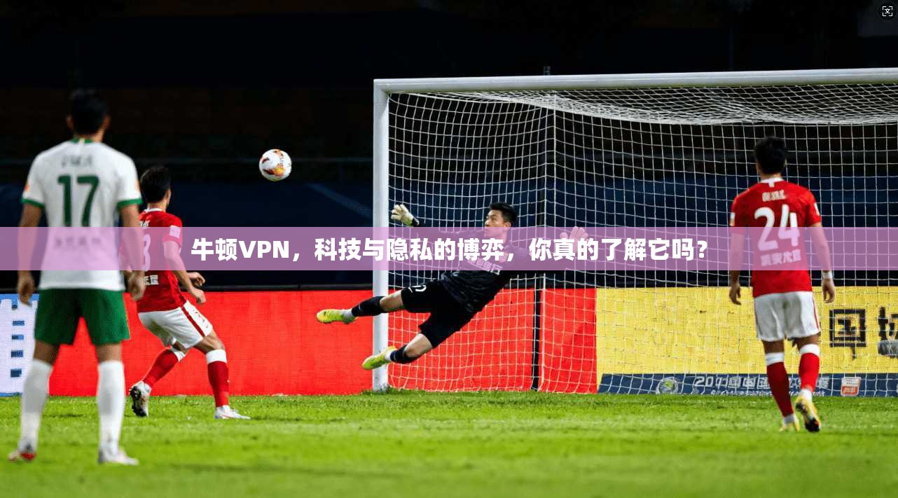 牛顿VPN，科技与隐私的博弈，你真的了解它吗？