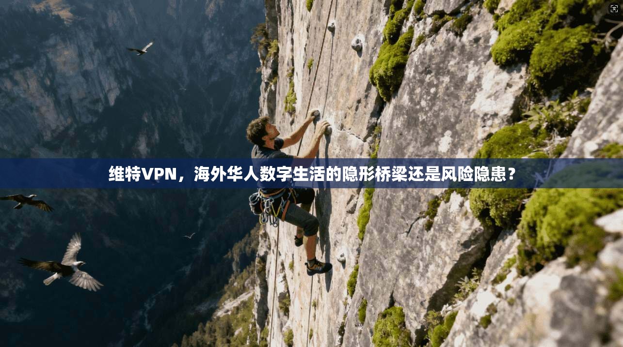 维特VPN，海外华人数字生活的隐形桥梁还是风险隐患？
