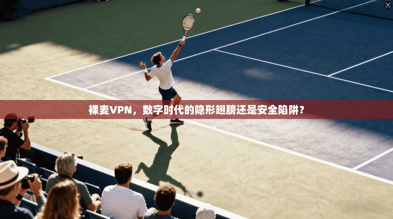 裸麦VPN，数字时代的隐形翅膀还是安全陷阱？