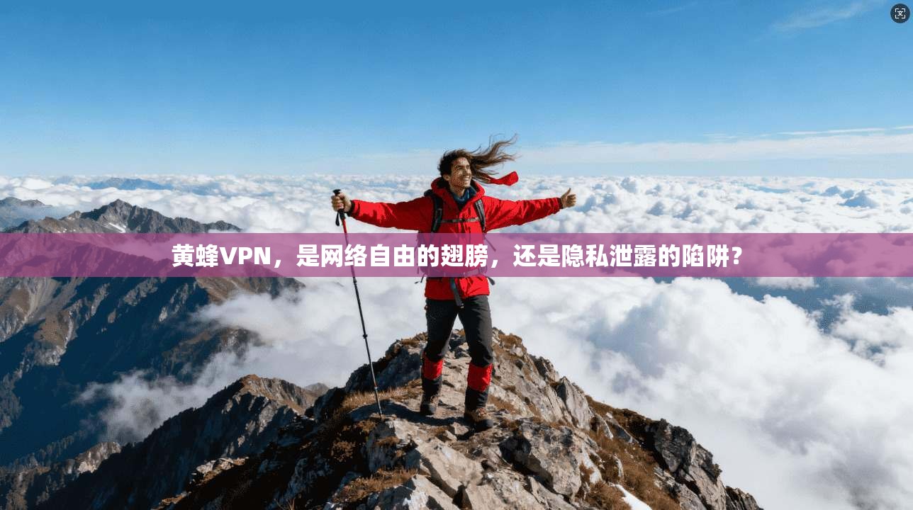 黄蜂VPN，是网络自由的翅膀，还是隐私泄露的陷阱？