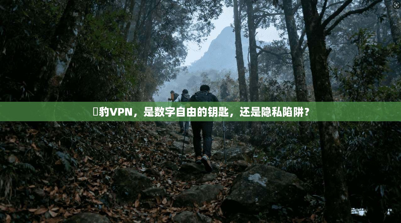 黒豹VPN，是数字自由的钥匙，还是隐私陷阱？