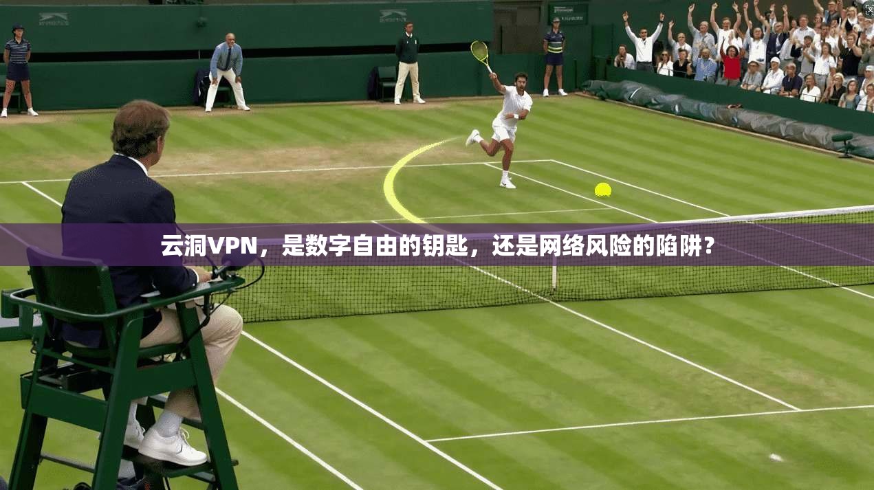 云洞VPN，是数字自由的钥匙，还是网络风险的陷阱？