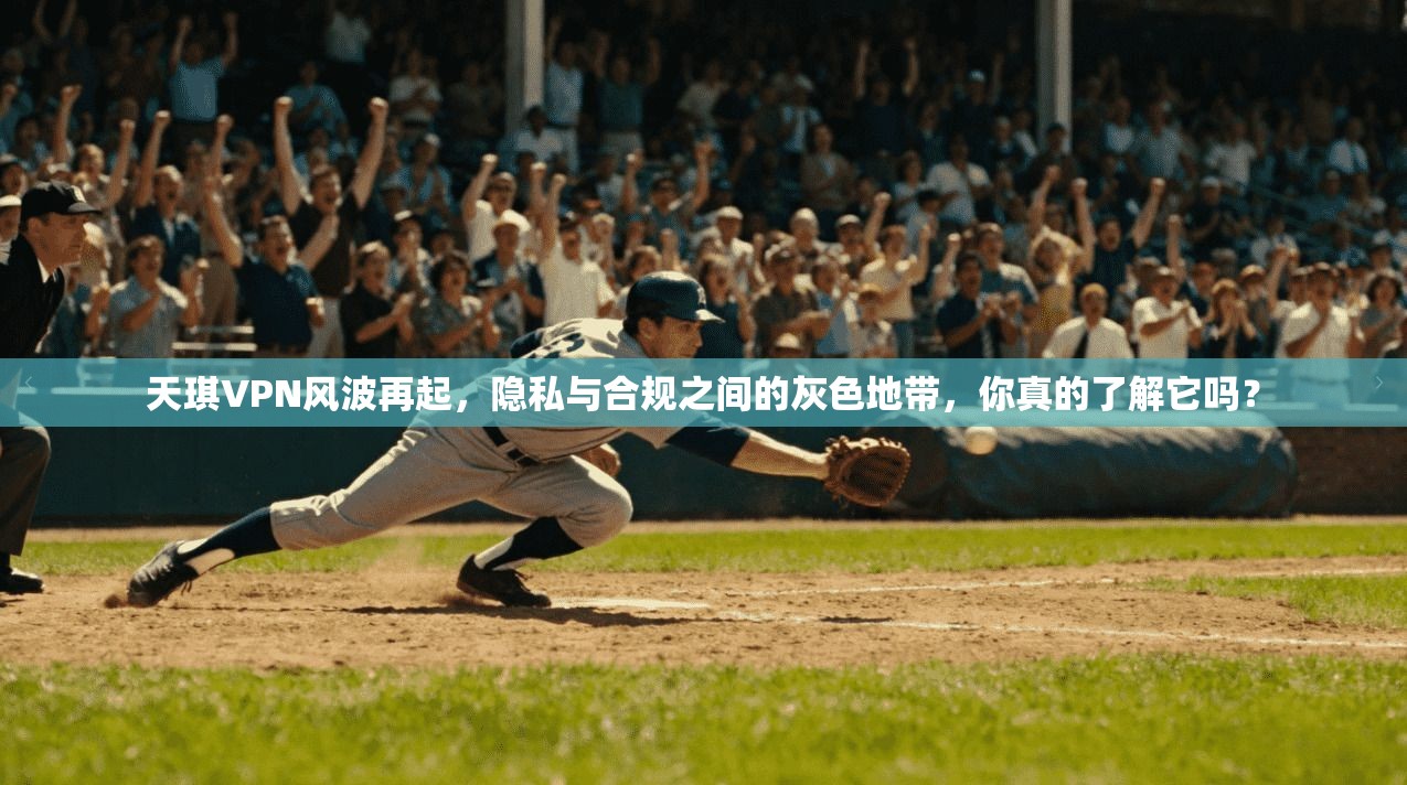 天琪VPN风波再起，隐私与合规之间的灰色地带，你真的了解它吗？