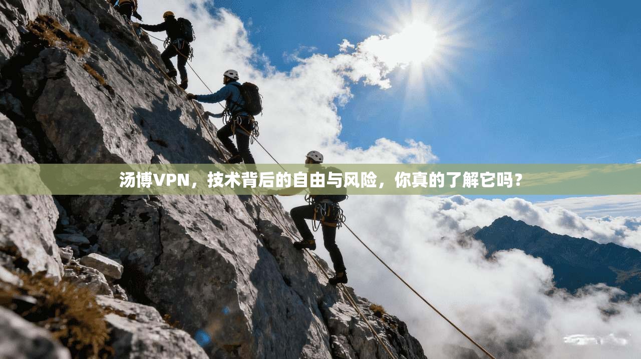 汤博VPN，技术背后的自由与风险，你真的了解它吗？