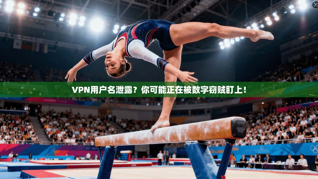 VPN用户名泄露？你可能正在被数字窃贼盯上！