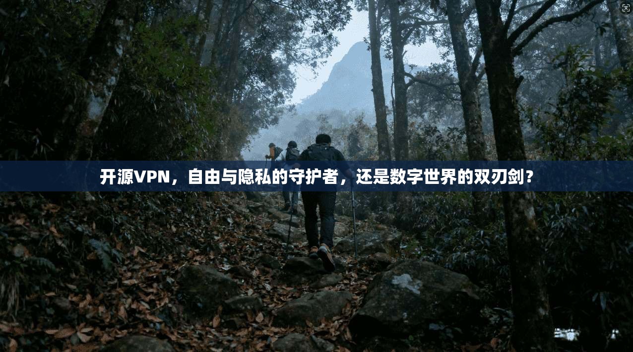 开源VPN，自由与隐私的守护者，还是数字世界的双刃剑？