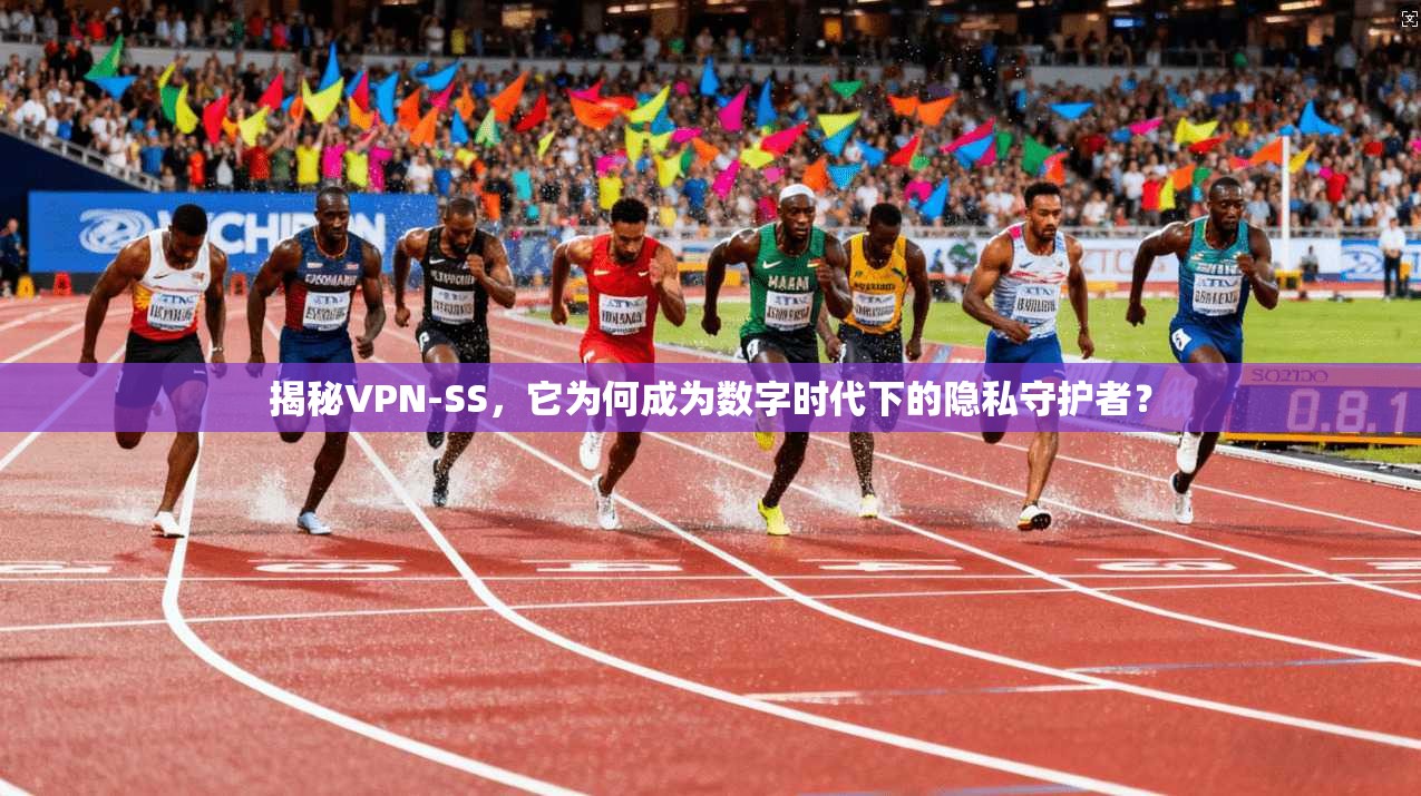 揭秘VPN-SS，它为何成为数字时代下的隐私守护者？