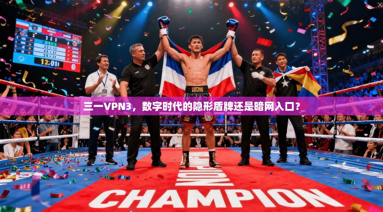 三一VPN3，数字时代的隐形盾牌还是暗网入口？