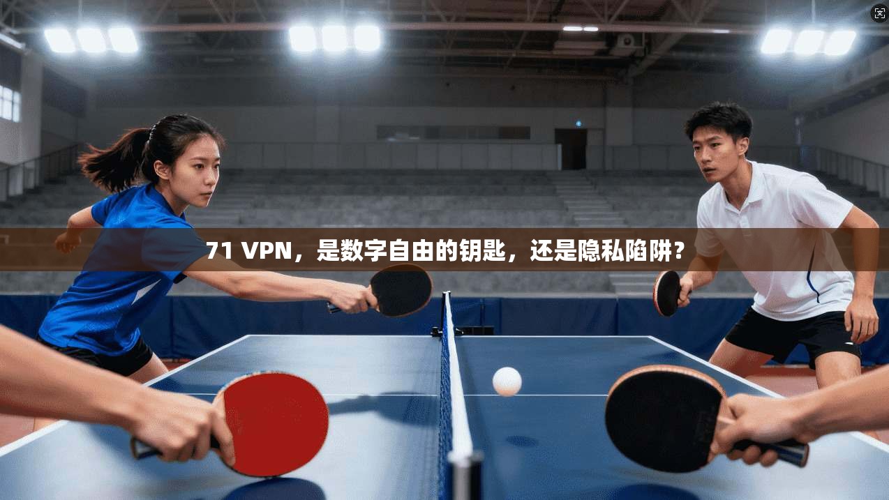 71 VPN，是数字自由的钥匙，还是隐私陷阱？