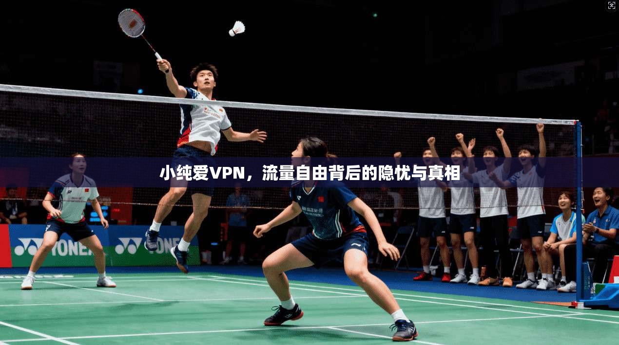 小纯爱VPN，流量自由背后的隐忧与真相