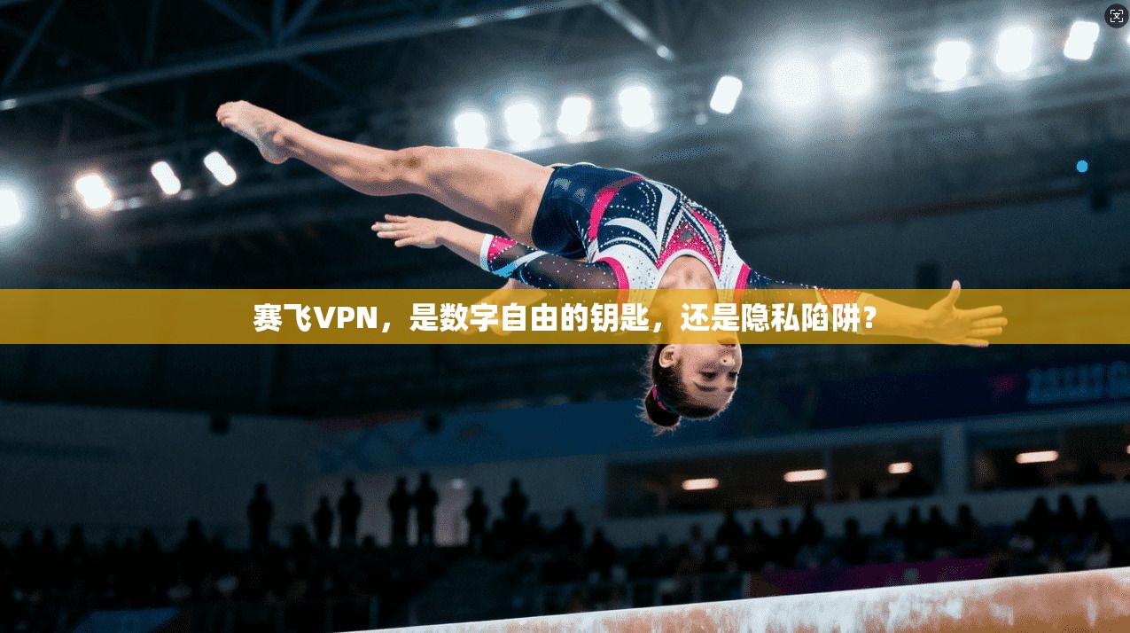 赛飞VPN，是数字自由的钥匙，还是隐私陷阱？