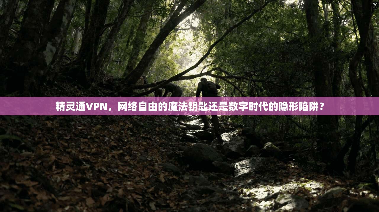 精灵通VPN，网络自由的魔法钥匙还是数字时代的隐形陷阱？