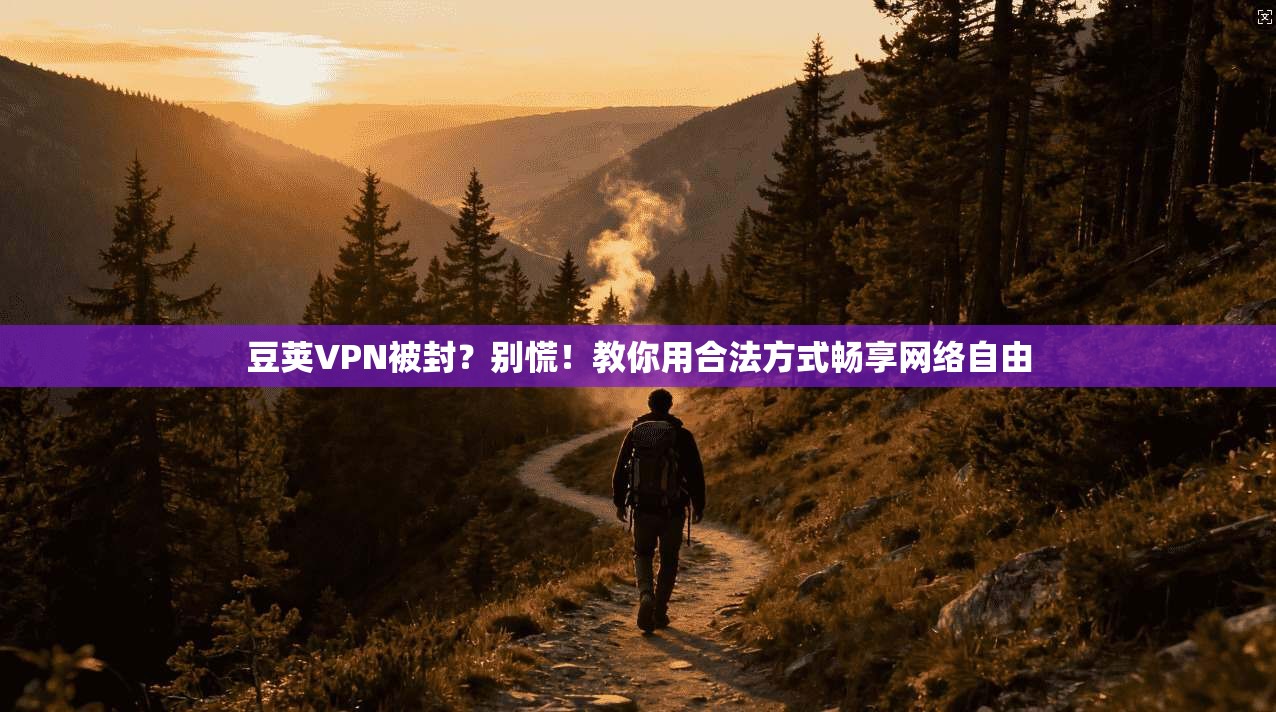 豆荚VPN被封？别慌！教你用合法方式畅享网络自由