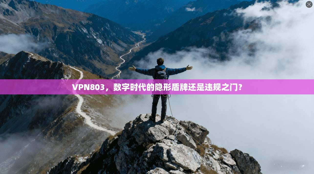 VPN803，数字时代的隐形盾牌还是违规之门？