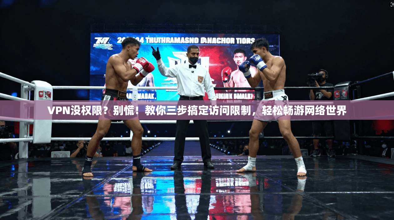 VPN没权限？别慌！教你三步搞定访问限制，轻松畅游网络世界