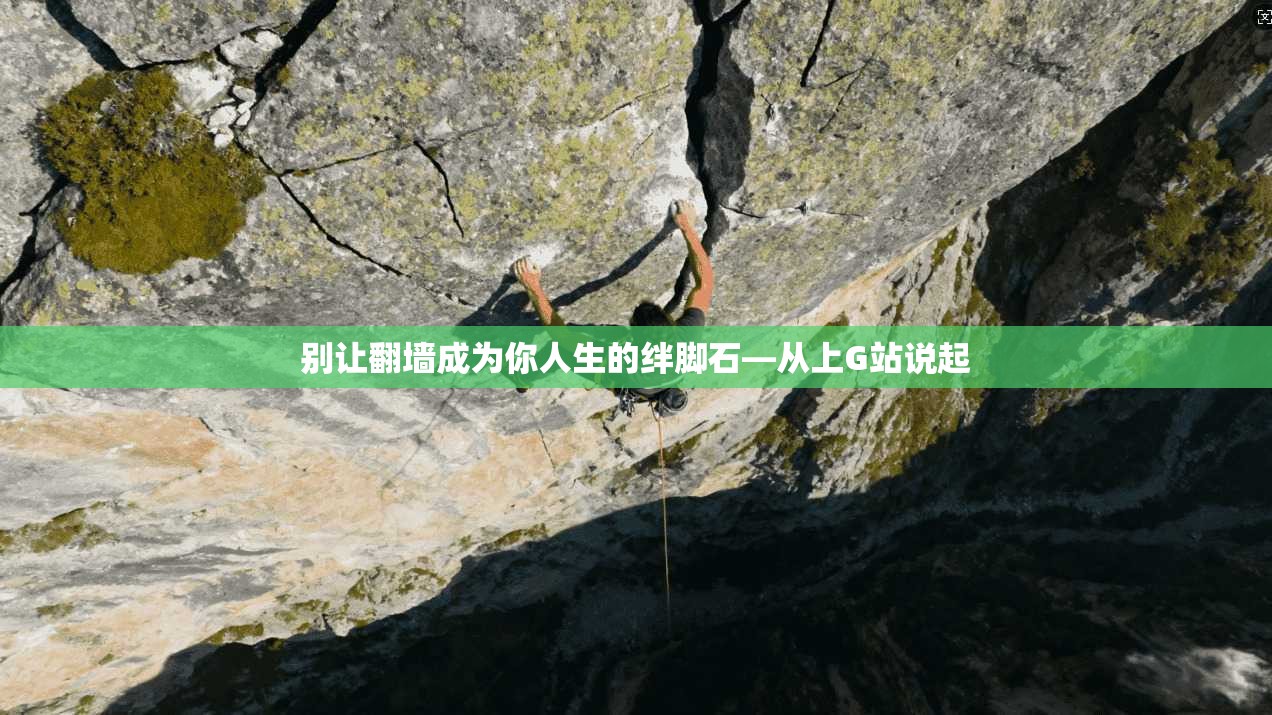 别让翻墙成为你人生的绊脚石—从上G站说起