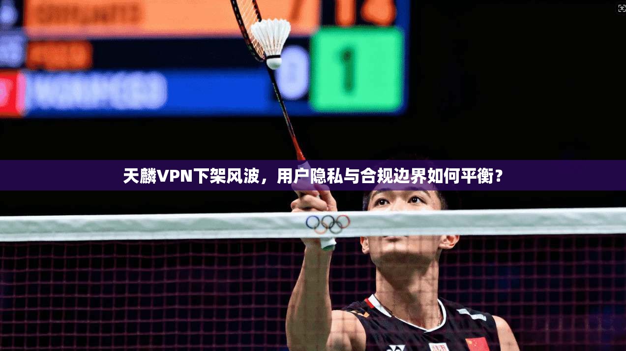 天麟VPN下架风波，用户隐私与合规边界如何平衡？