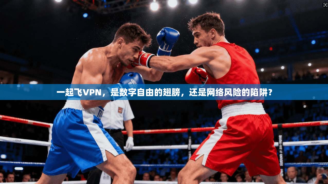 一起飞VPN，是数字自由的翅膀，还是网络风险的陷阱？