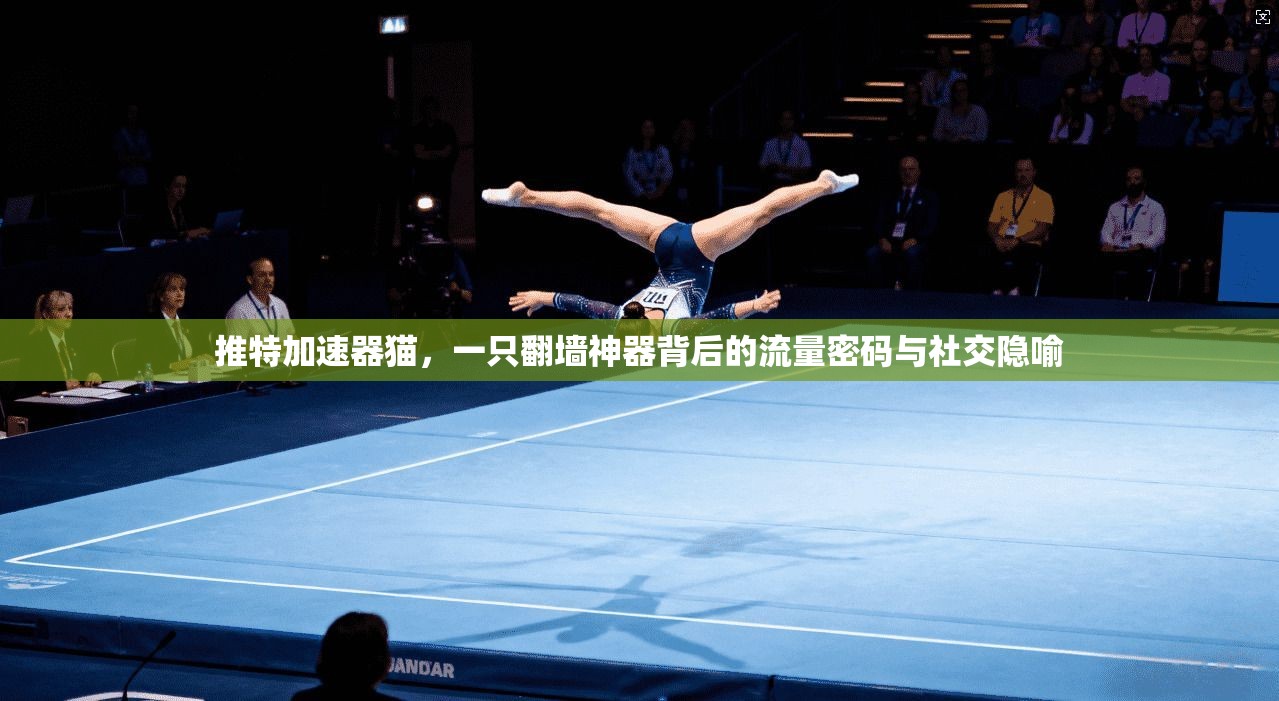 推特加速器猫，一只翻墙神器背后的流量密码与社交隐喻